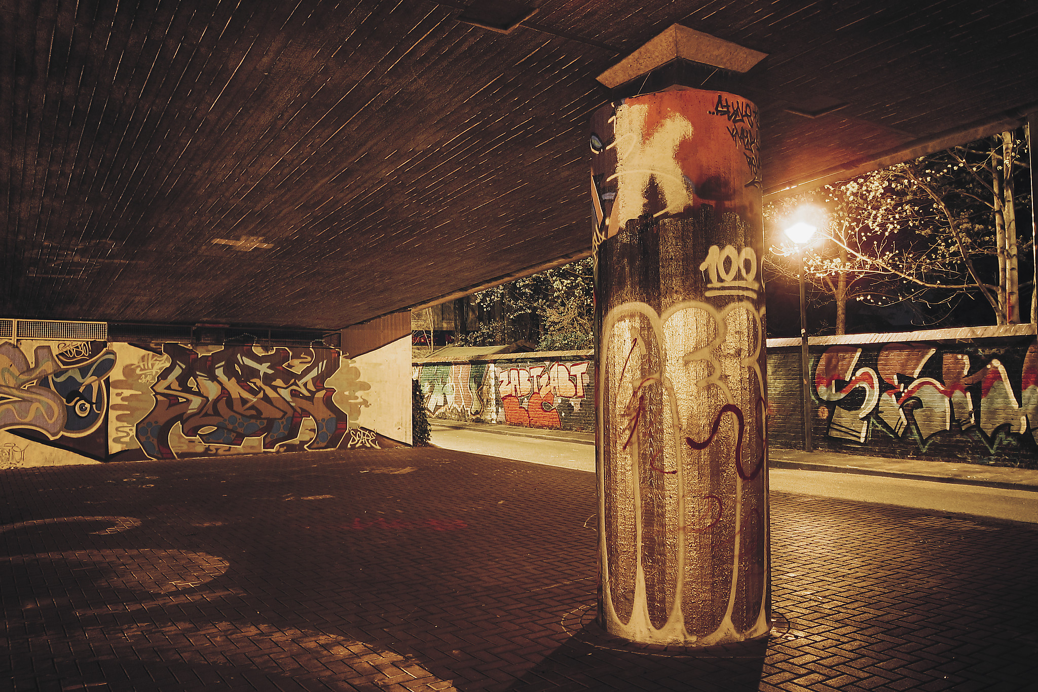 Nachtexpeditionen 2025